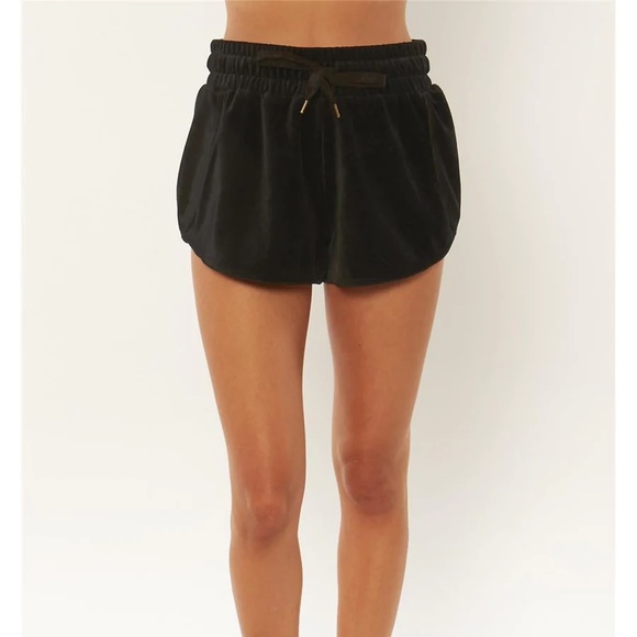 Amuse Society Pants - NWT Amuse Society Farrah Velour Jogger Knit Shorts